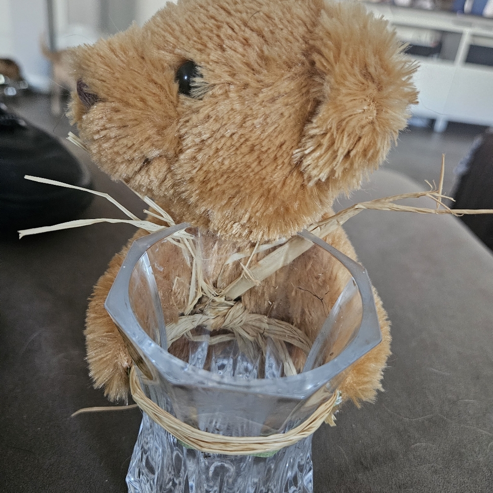 Brown Plush Teddy Bear with Glass Holder